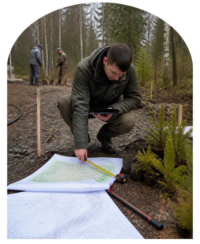 Дендроплан участка для ландшафтного проектирования в Одинцове
