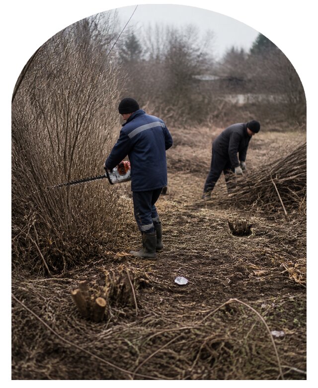 Удаление кустарника на участке под ключ с вывозом в Одинцове